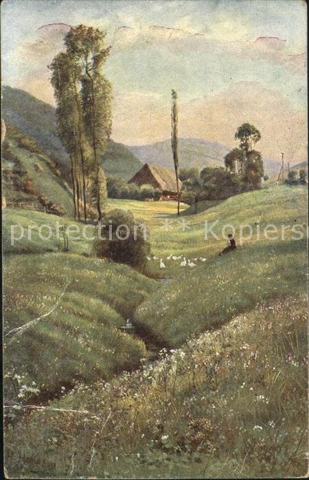 Hoffmann Heinrich Schwarzwald-Idyll Aufstieg zum Landwass