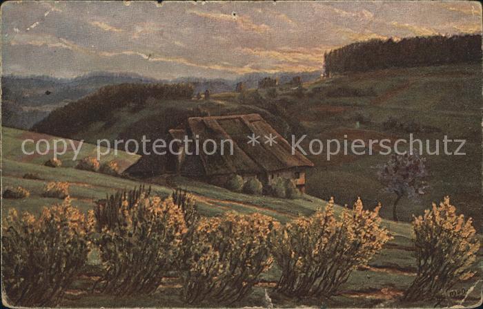 Simon A. Fruehling im Schwarzwald Sonnenaufgang