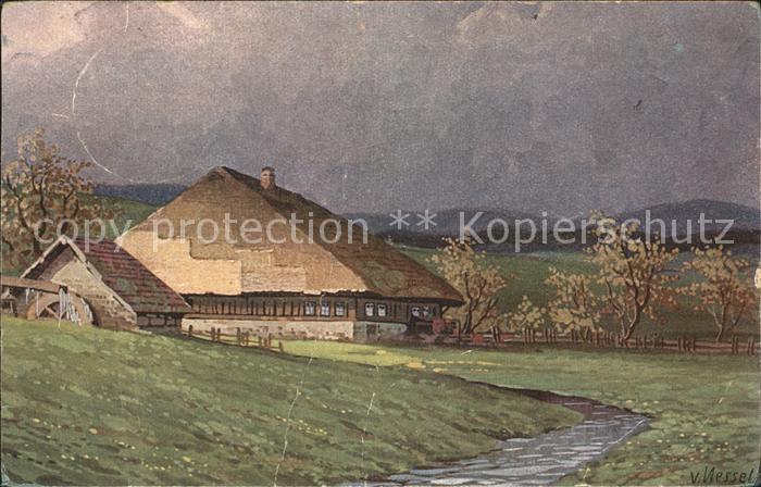 Nessel V. Schwarzwaldhaus