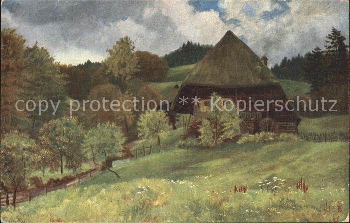 d Eu de Perthes H. Der Hinterbauer Schwarzwaldhaus