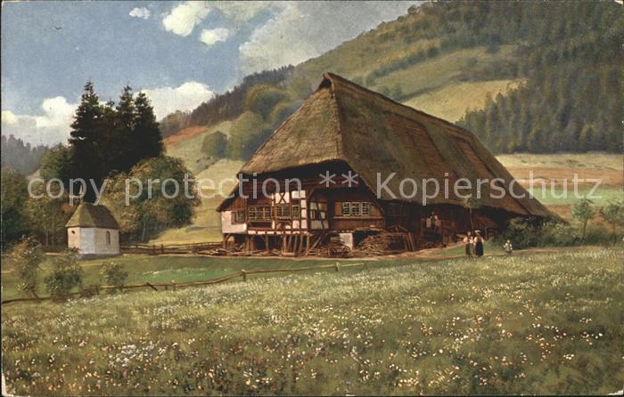 Hoffmann Heinrich Schwarzwaldhaus