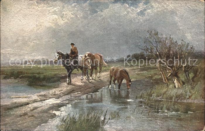 Pferde Künstlerkarte