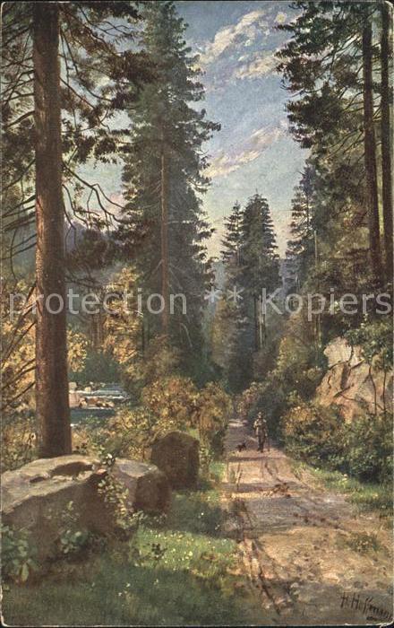 Hoffmann Heinrich Schwarzwald-Tannen