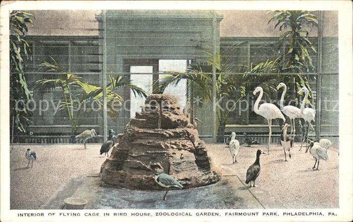 Flamingo Philadelphia Zoological Garden Flying Cage Bird House