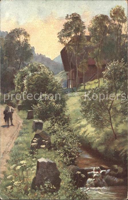 Hoffmann Heinrich Frühmorgens im Schwarzwald