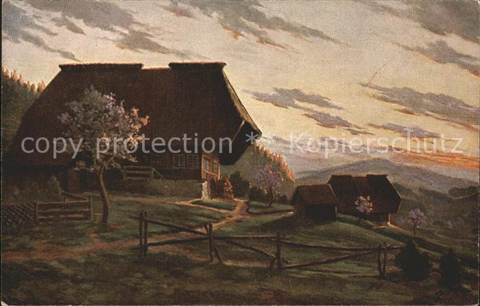 Simon A. Fruehling im Schwarzwald Sonnenuntergang