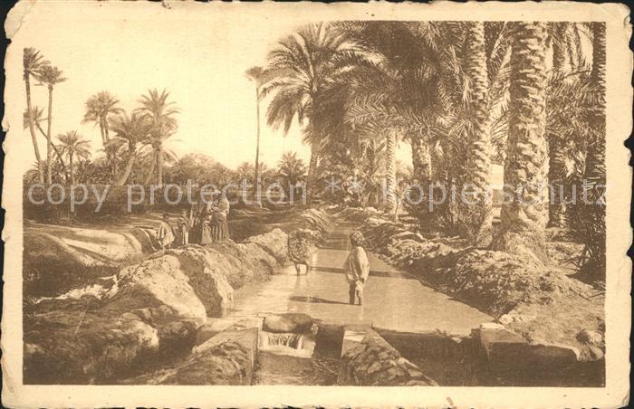 Landwirtschaft Afrika Pres de la Seguia