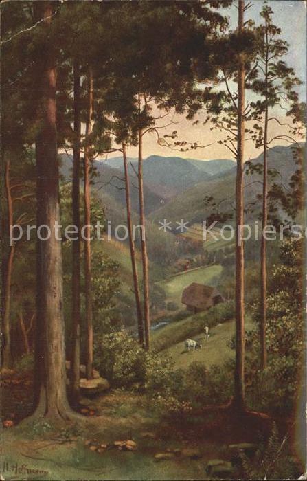 Hoffmann Heinrich Schwarzwald Durchblick ins Tal