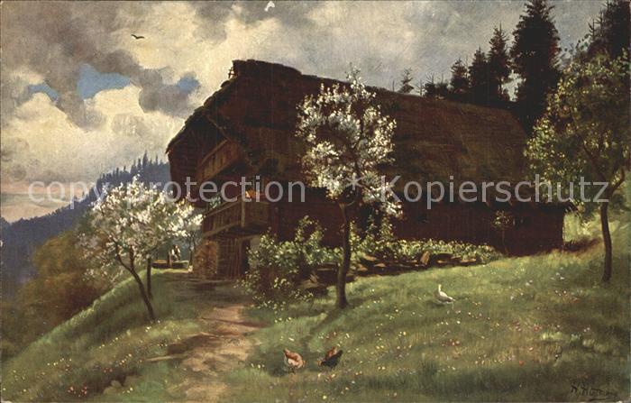 Hoffmann Heinrich Frühling im Schwarzwald