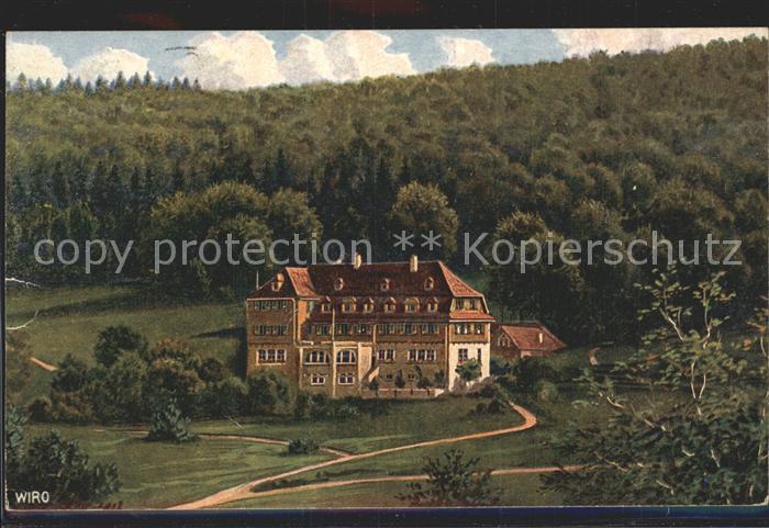 Verlag Wiedemann WIRO Nr. 3520 A Albhotel Traifelberg Honau