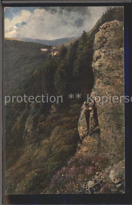 Hoffmann Heinrich Schlucht Vogesen