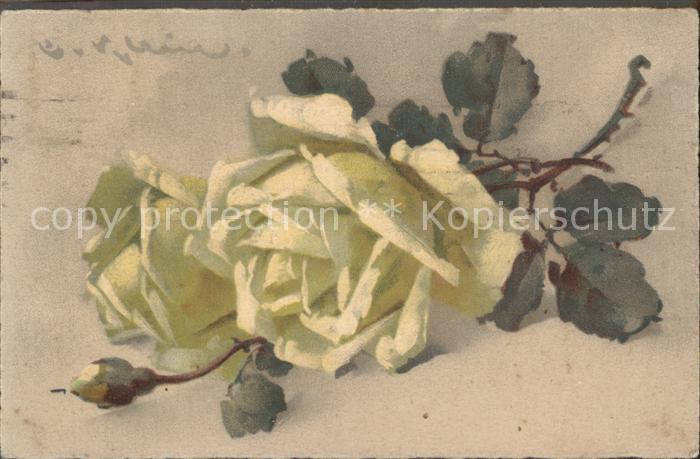 Klein Catharina Kuenstlerlitho Rosen Litho