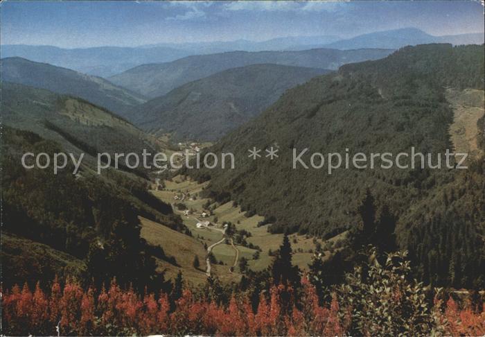 Feldberg Schwarzwald Blick ins Wiesental