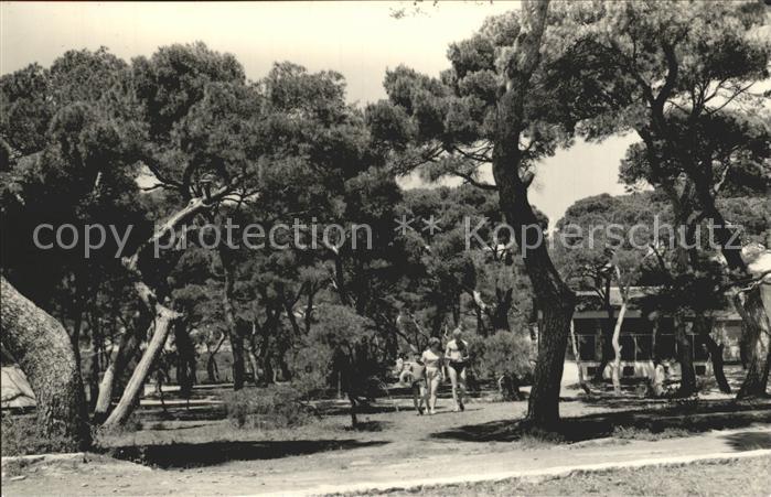 Valencia Valenciana Camping del Saler