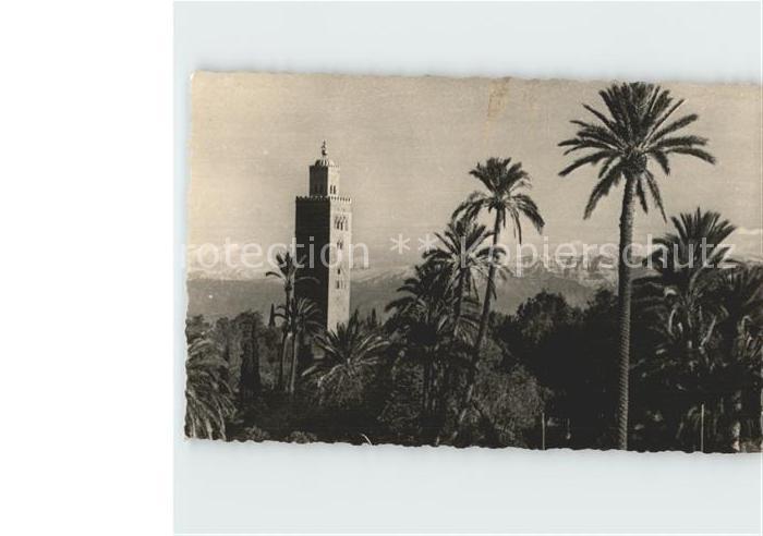 Marrakech Marrakesch Koutoubia dans Palmiers