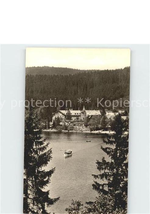 Titisee Schwarzwald-Hotel am See