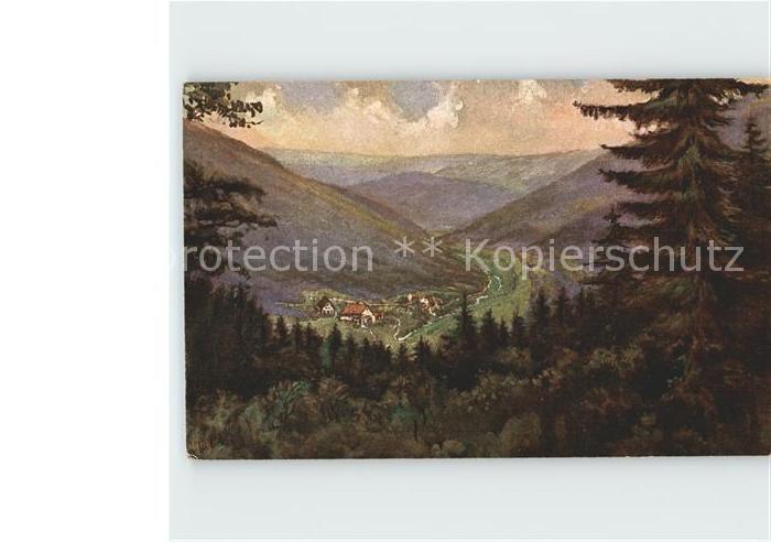 Waldkatzenbach Odenwald Oberer Hoellgrund