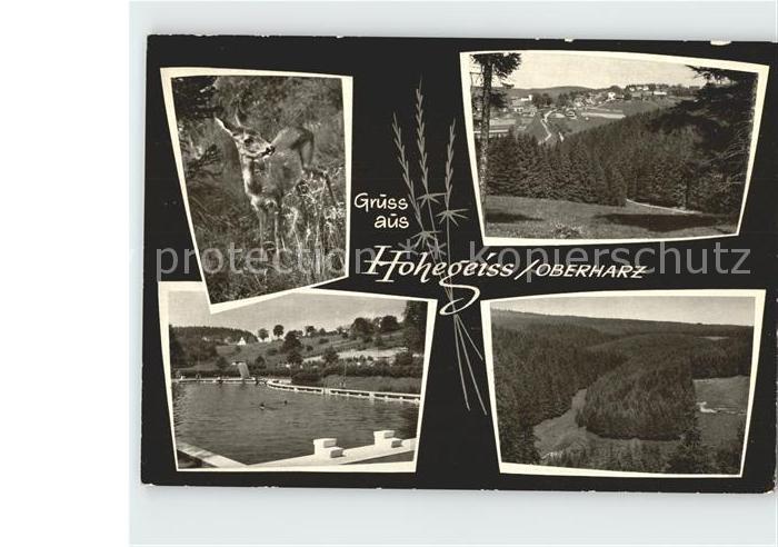 Hohegeiss Harz Reh Schwimmbad