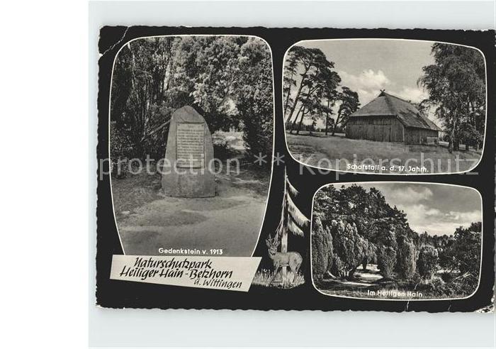 Betzhorn Naturschutzpark Heiligen Hain Belzhorn Gedenkstein Schafstall