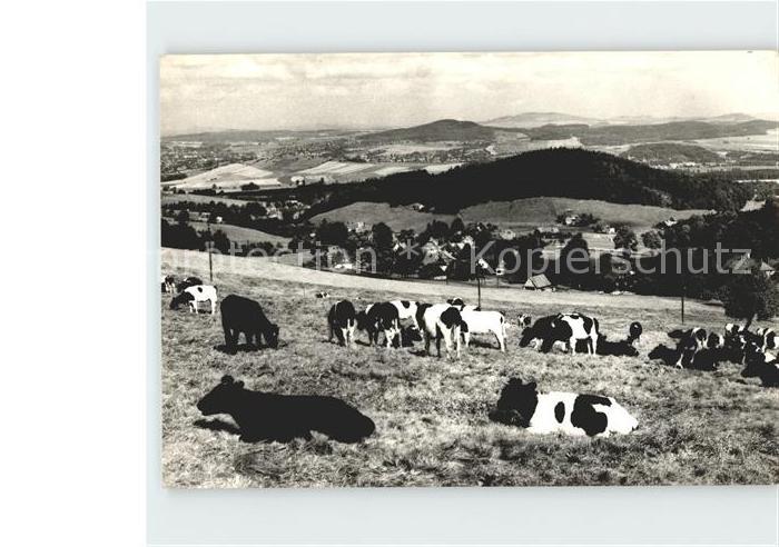 Waltersdorf Zittau Kuehe