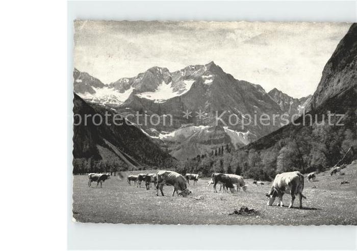 Eng Karwendel Spritzkarspitze grosser Ahronboden