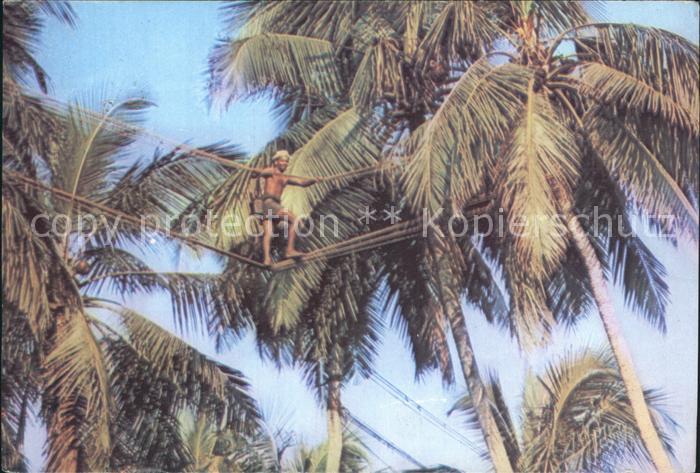 Maharagama Salmal Paper Craft