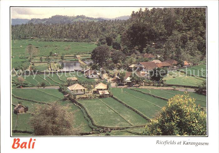 Bali Indonesien Ricefields Karangasem