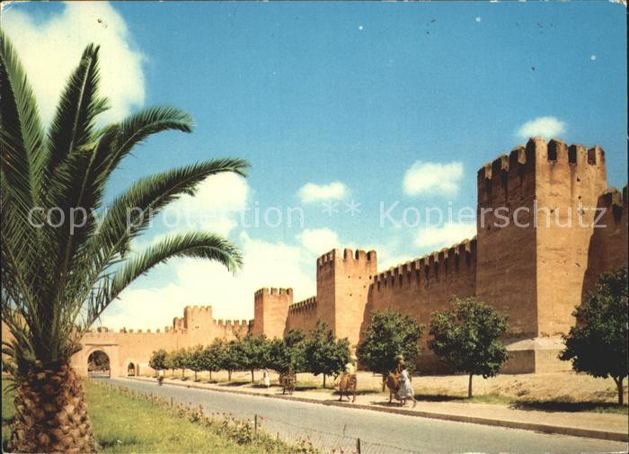 Taroudant Remparts