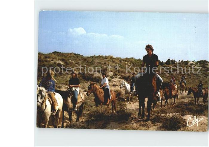 Pferde Randonnee equestre