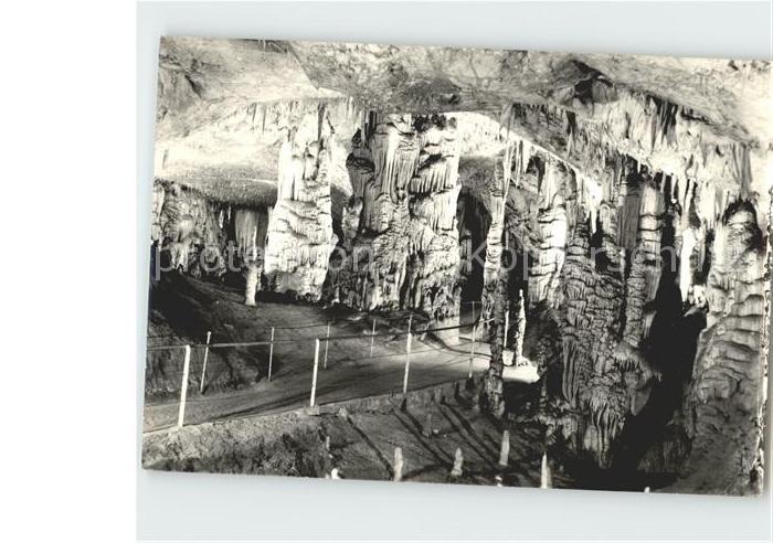 Hoehlen Caves Grottes Postojna Vhod v lepe jame Slovenija Jug