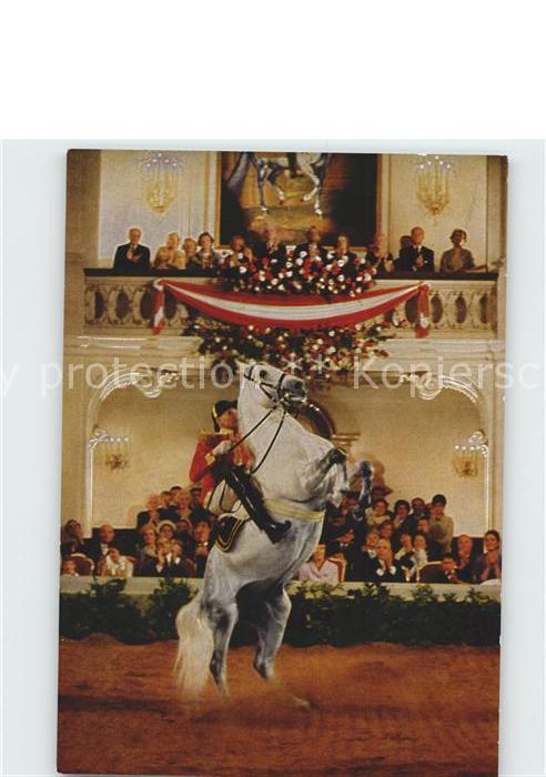 Reitsport Pferdesport Pferderennen Spanische Reitschule Wien