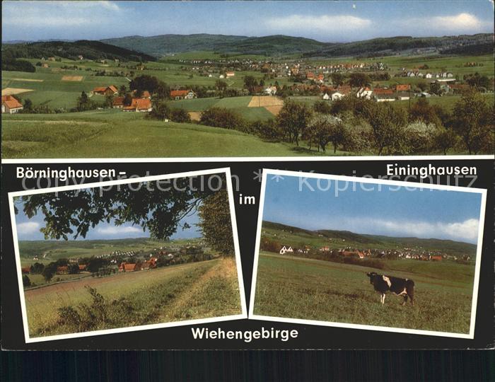 Boerninghausen Eininghausen Kuh