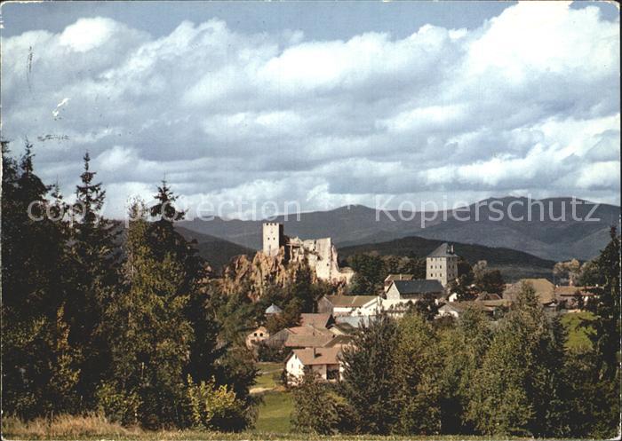 Regen Burgruine Weissenstein