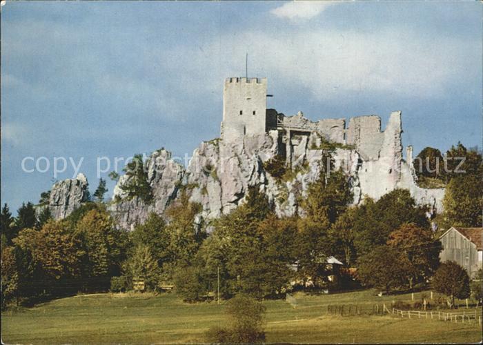 Regen Burgruine Weissenstein