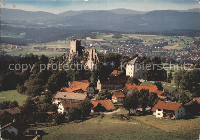 Regen Burgruine Weissenstein