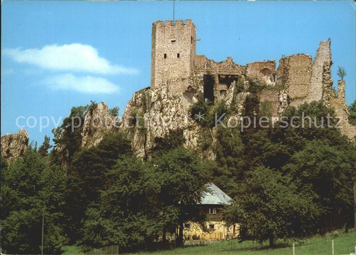 Regen Burgruine Weissenstein