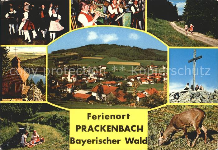 Prackenbach Musikgruppe Reh