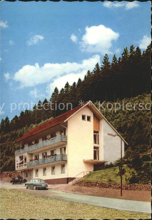 Wildemann Harz Goslar Niedersachsen Berghotel