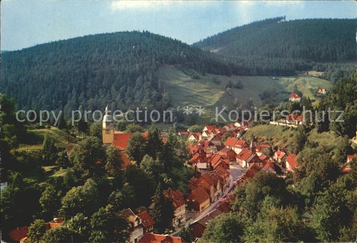 Wildemann Harz Goslar Niedersachsen