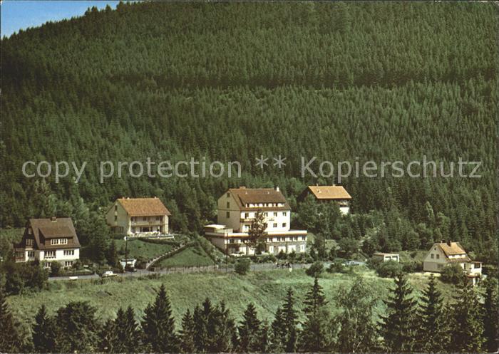 Wildemann Harz Goslar Niedersachsen Wald