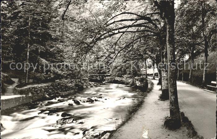 Wildbad Schwarzwald Enzpartie