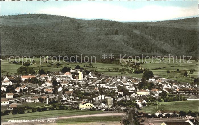 Waldmuenchen Totalansicht