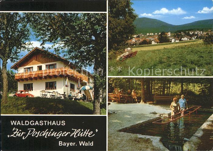 Arnbruck Waldgasthaus Zur Poschinger Huette Wassertretanlage Panorama