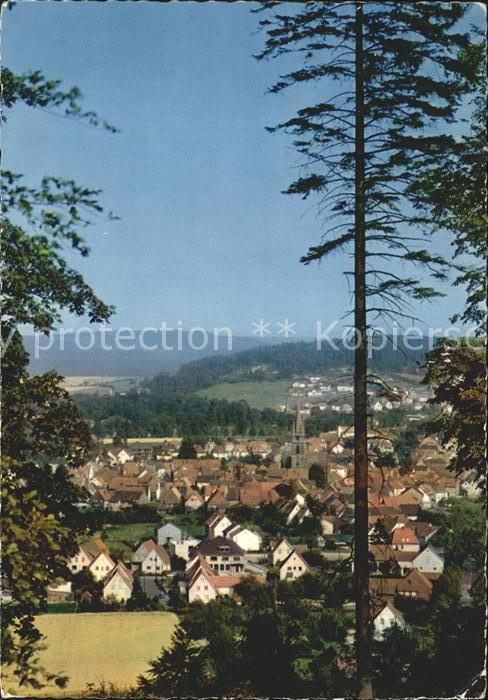 Bad Driburg Blick vom Stellberg