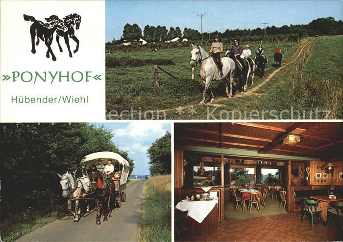 Huebender Ponyreiten Pferdekutsche Hotel Restaurant Ponyhof Gastraum