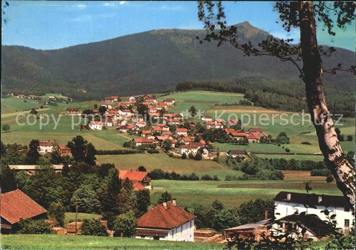 Lam Oberpfalz Panorama