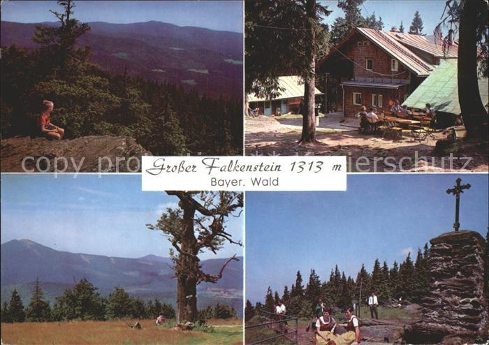 Bayerisch Eisenstein Grosser Falkenstein Panorama Gipfelkreuz Falkensteinschutzh