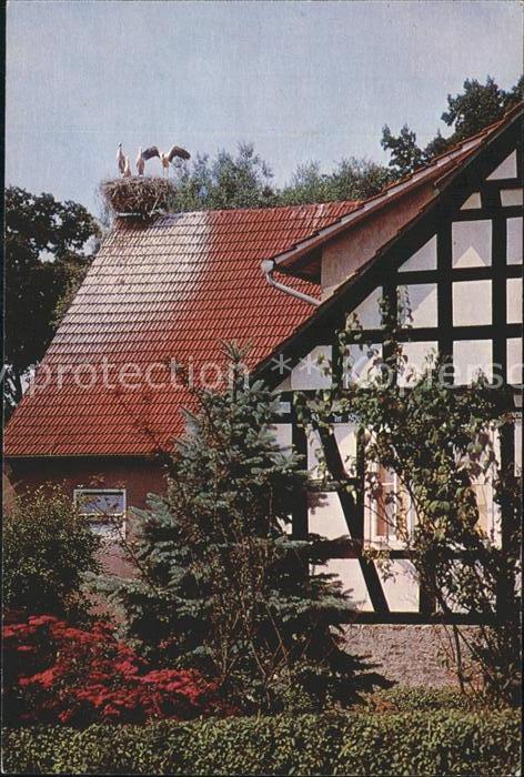 Levern Kurpension Meyer Pilz