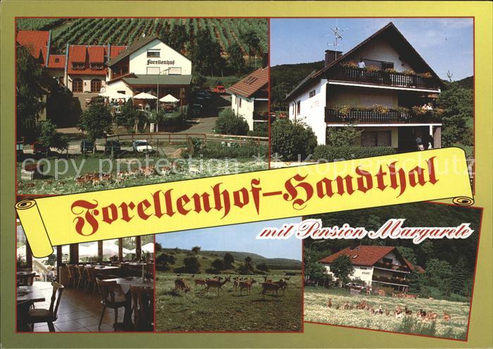 Handthal Schweinfurt Gasthaus Forellenhof und Pension Margarete Gastraum Damwild