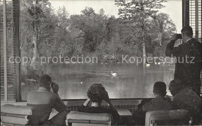 Ithaca New York Watching Waterfowl from the Observatory at Sapsucker Woods